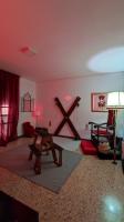 644644437: Chica busca chico en Tarragona