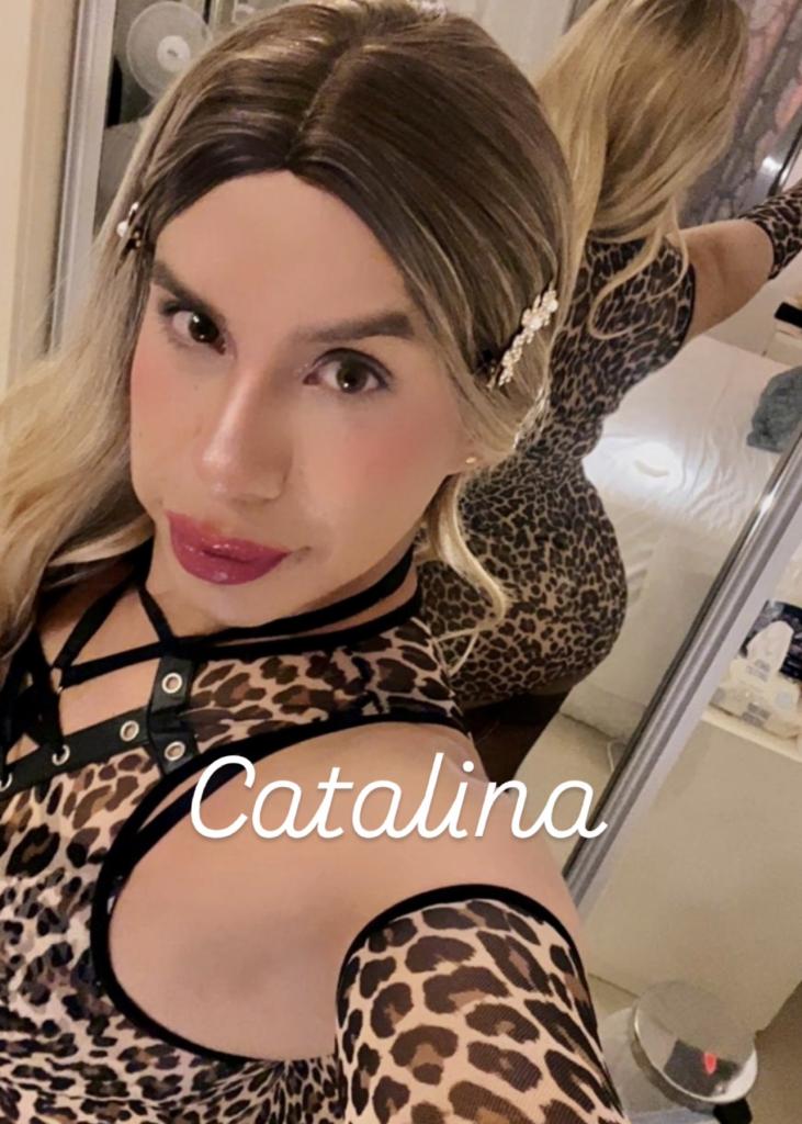 Transexual en Valladolid: 