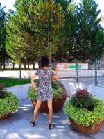 646835525: Travesti en Cantabria