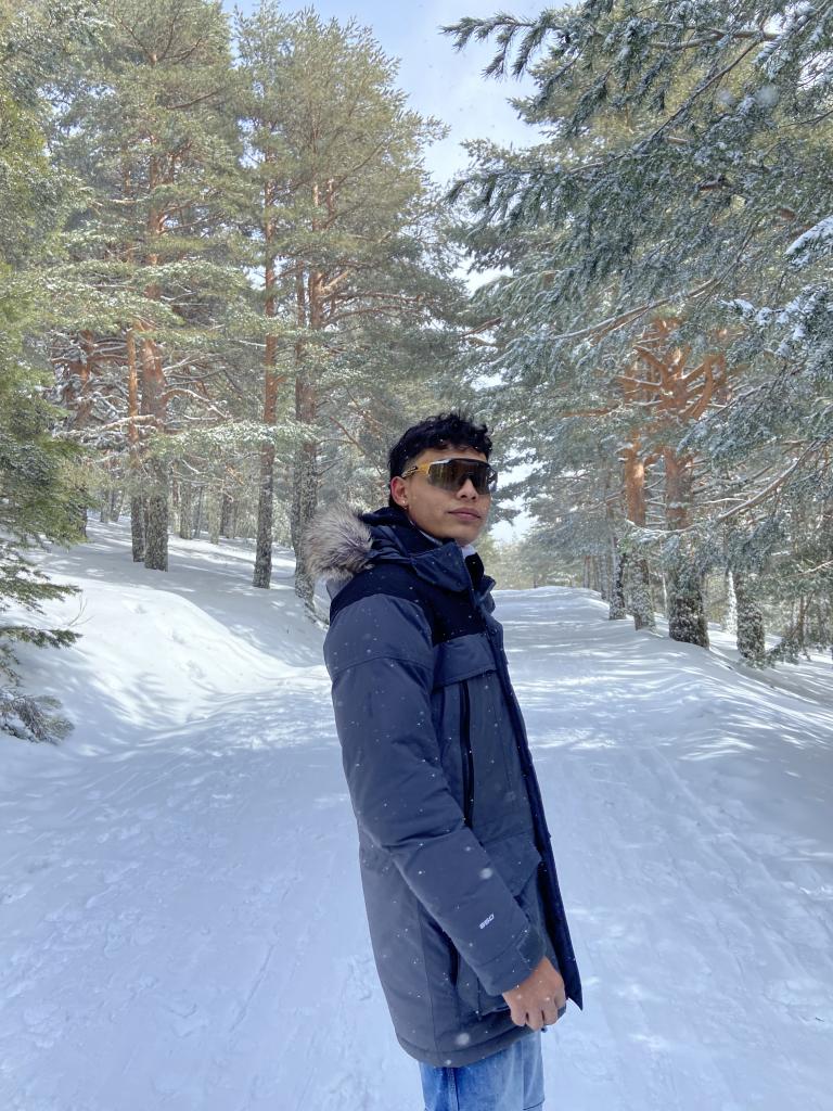 Chico busca chica en Madrid: 