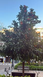 684752126: Chica busca chico en Murcia