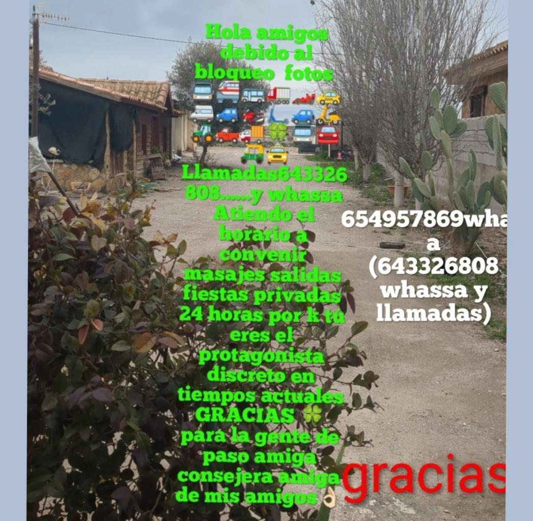 Chica busca chico en Almería: 