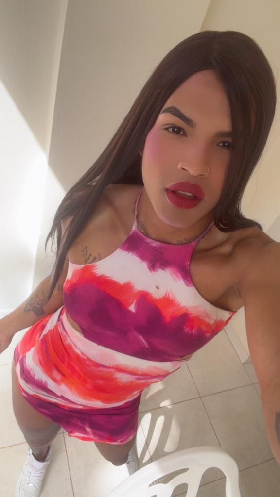 Transexual en Alicante: 