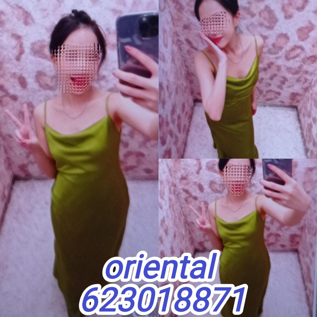 Chica busca chico en Navarra: 