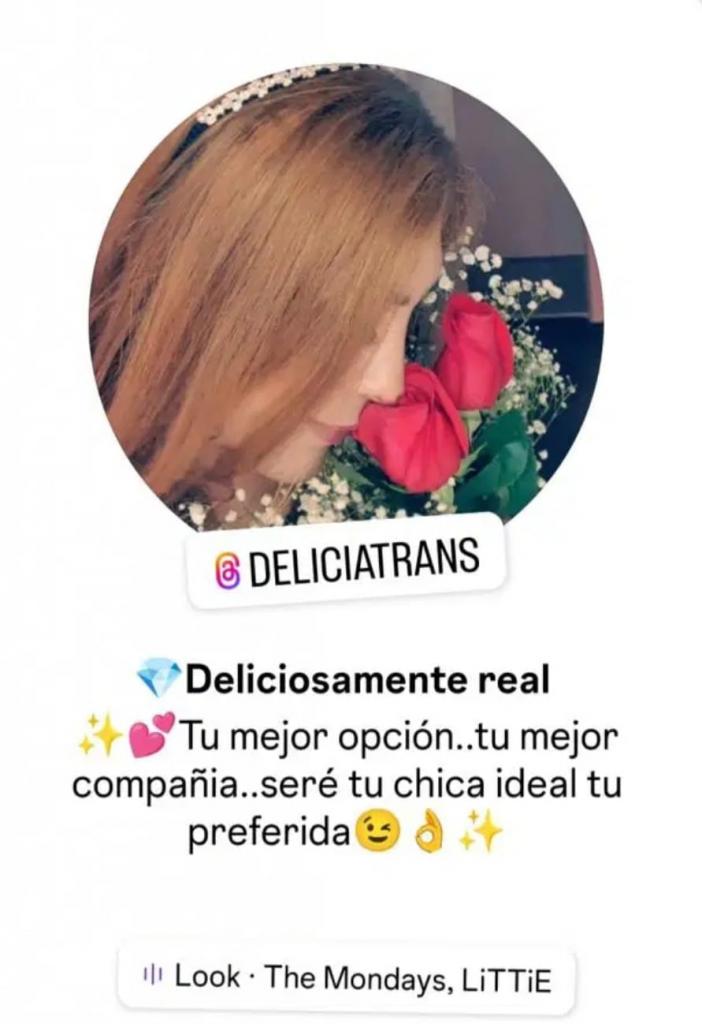 Transexual en Alicante: 