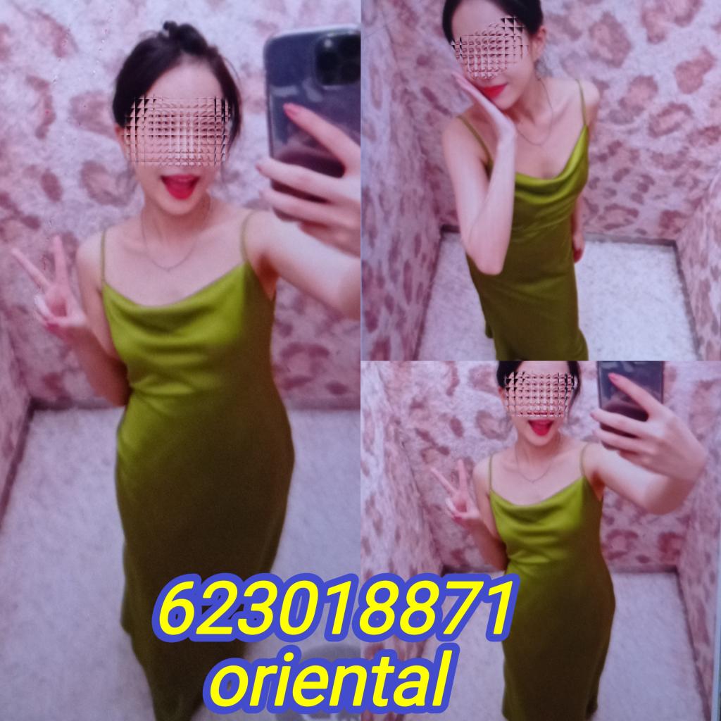 Chica busca chico en Navarra: 