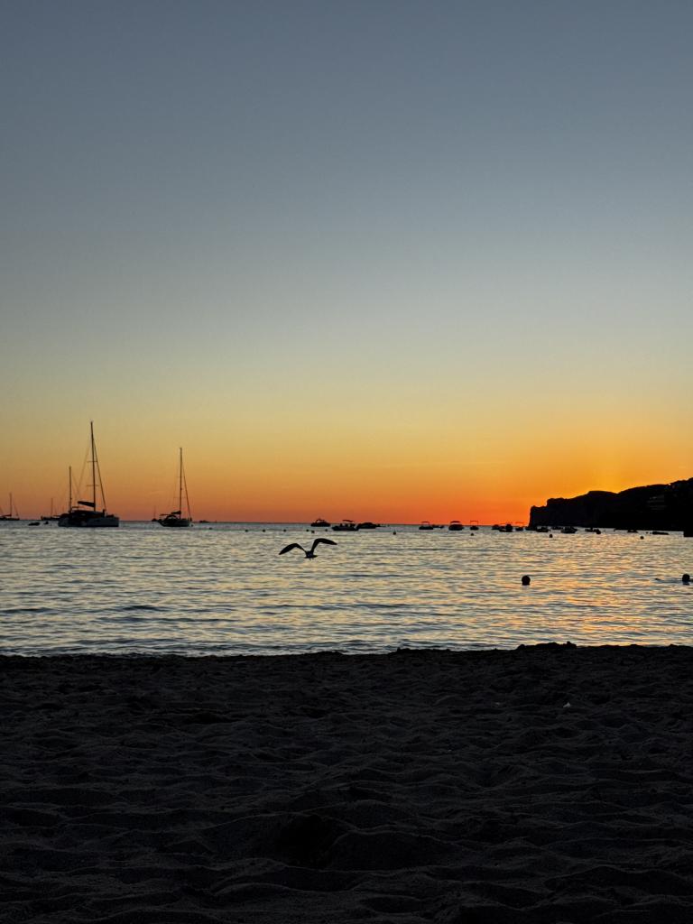 Travesti en Mallorca: 