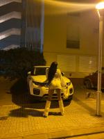 634384213: Transexual en Tarragona