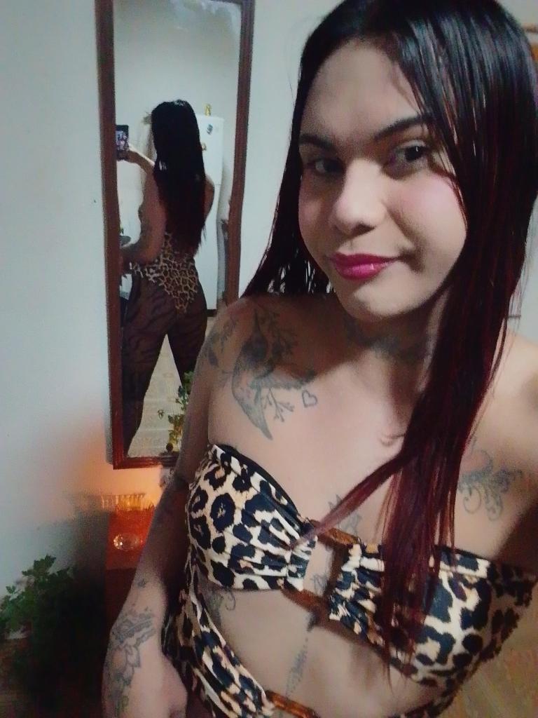 Travesti en Alicante: 