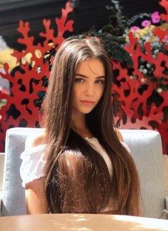 Chica busca chico en Alicante: 