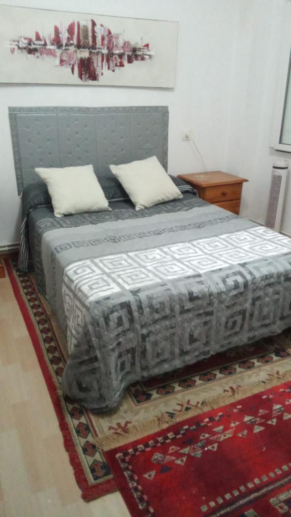 Chica busca chico en Asturias: 