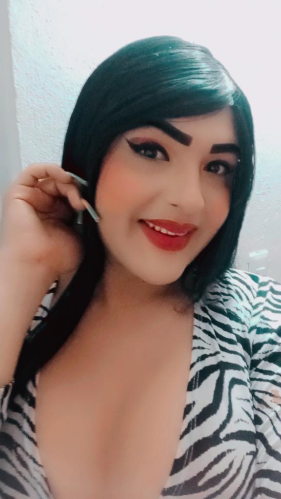 Transexual en Castellón: Transexuales y Travestis