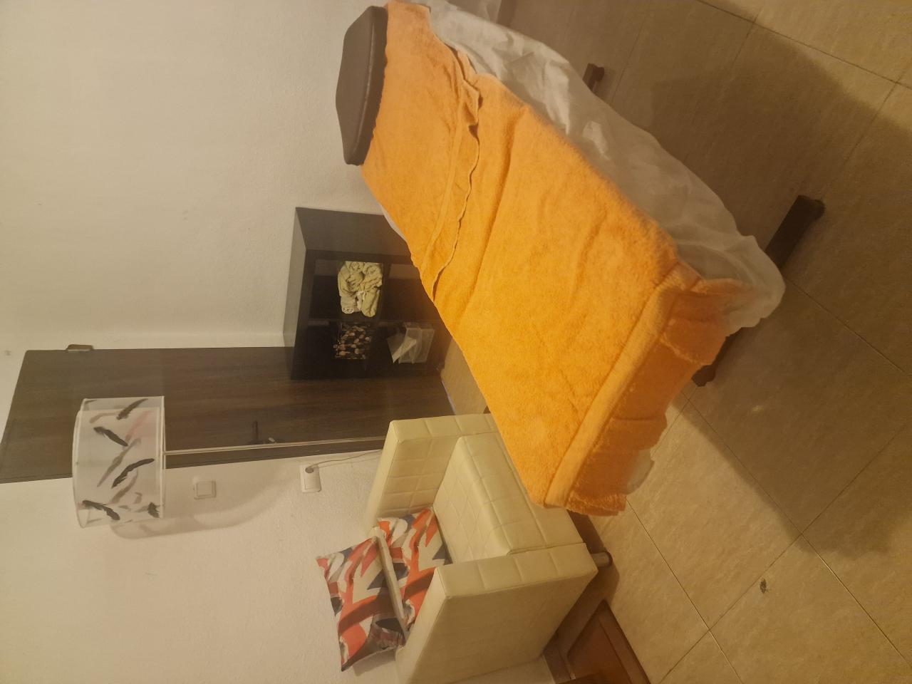 Chica busca chico en Alicante: 