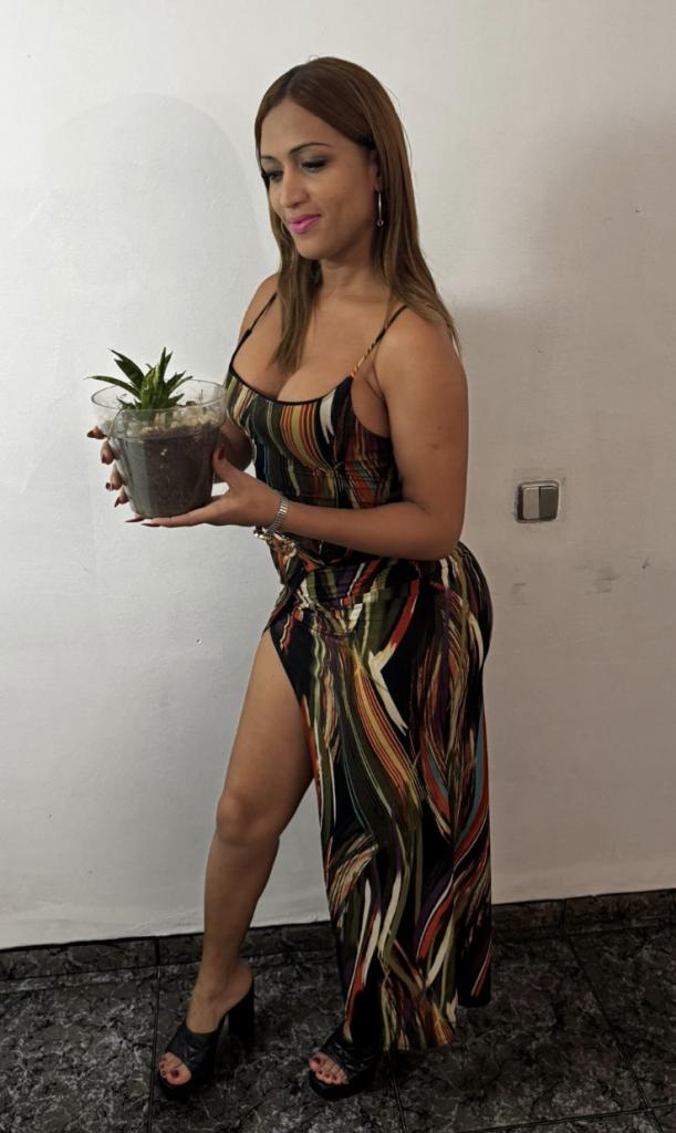 Travesti en Valencia: 