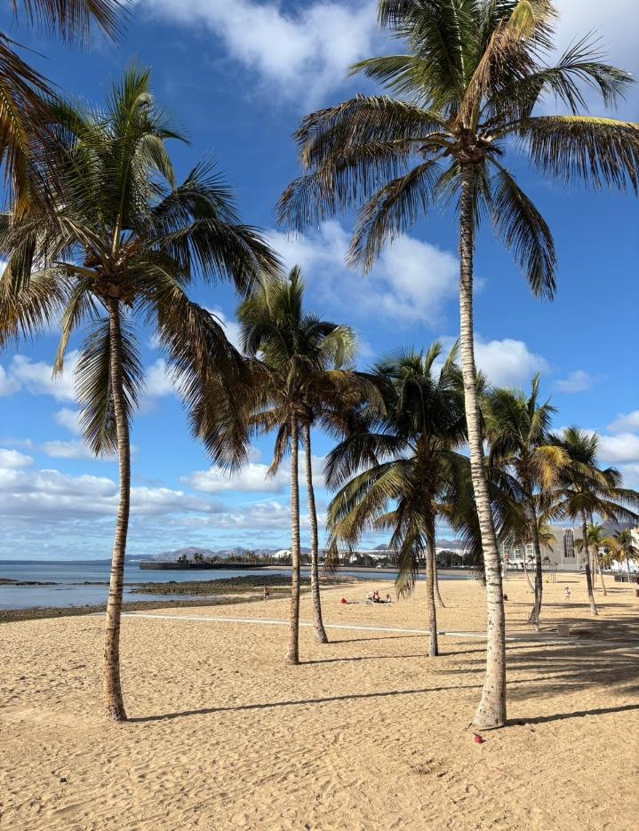 Chico busca chica en La Coruña: 