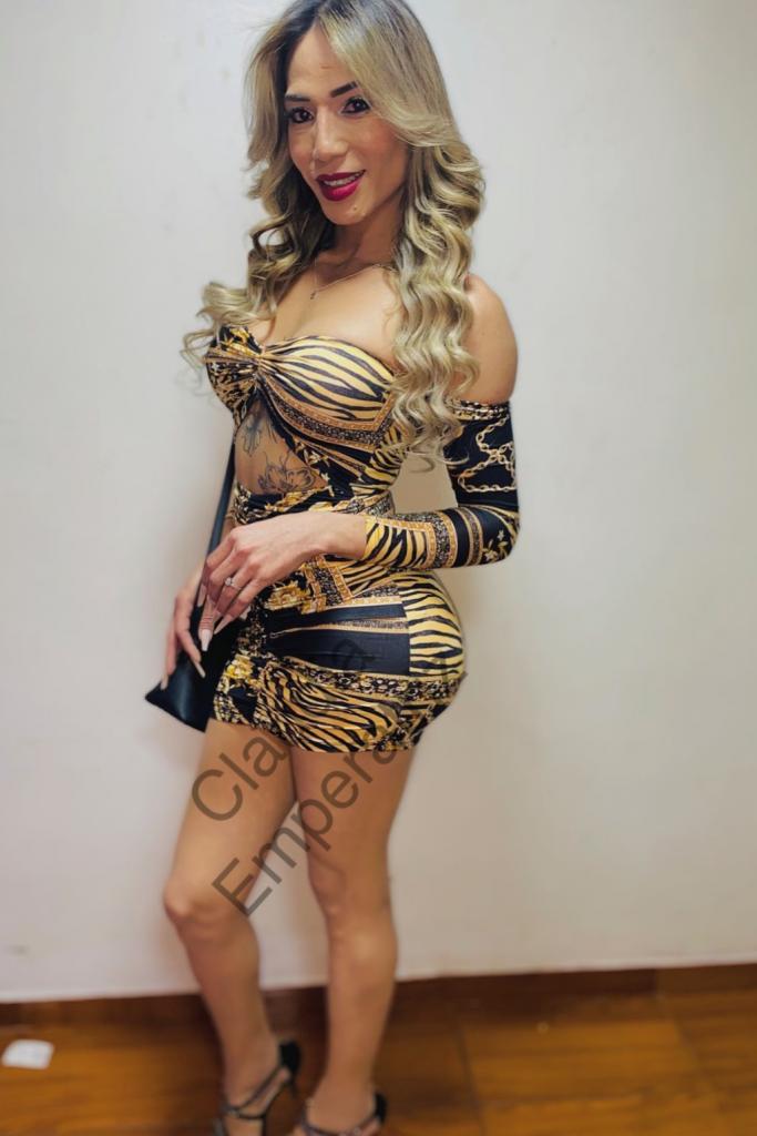 642455242: Travesti en Toledo