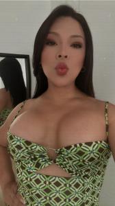 Travesti en Cantabria: 