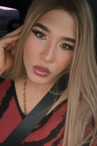 Travesti en Lérida: 