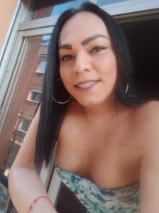 Travesti en Alicante: 