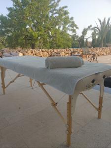 Chico busca chica en Mallorca: 