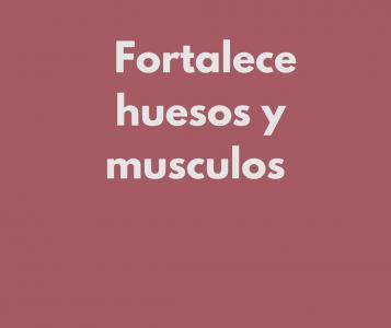 691041308: Chica busca chico en Zaragoza