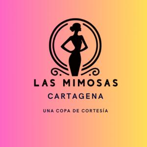 Chica busca chico en Murcia: 