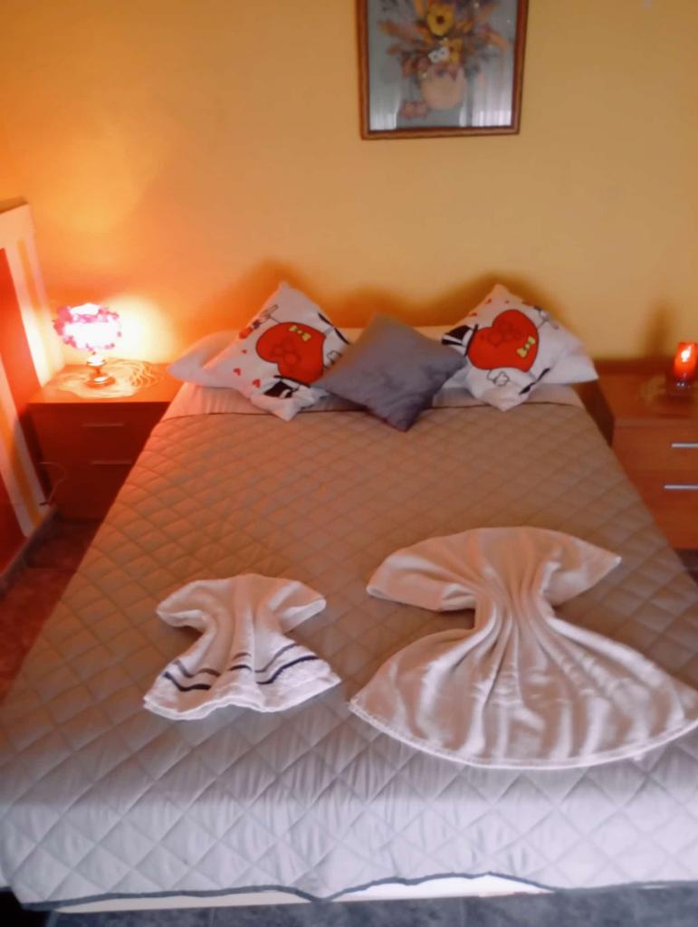 Chica busca chico en Ciudad Real: 