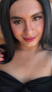 Travesti en Valencia: Transexuales y Travestis