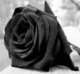 655379029: Chica busca chico en Asturias