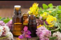 643782814: Chica busca chico en Cantabria