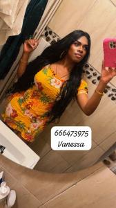 666473975: Transexual en Valencia