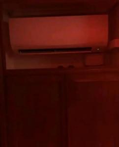 600029479: Transexual en Valencia