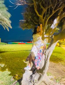 664227044: Travesti en Granada