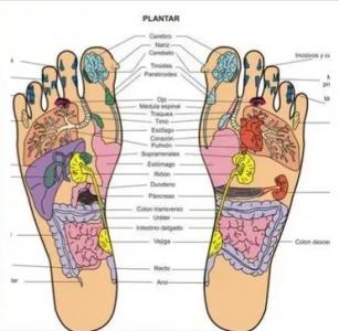622302111: Chica busca chico en Alicante