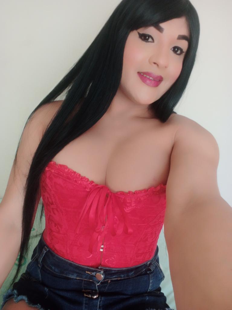 Travesti en Castellón: 