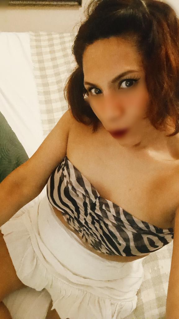 Chica busca chico en Vizcaya: 