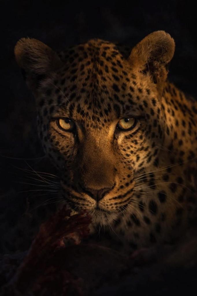 Chica busca chico en Tenerife: 