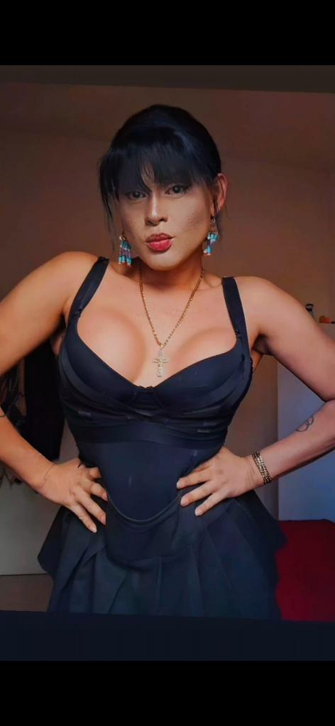 663713124: Travesti en Alicante