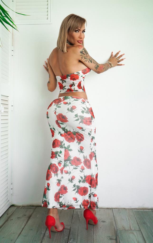 Travesti en Málaga: 