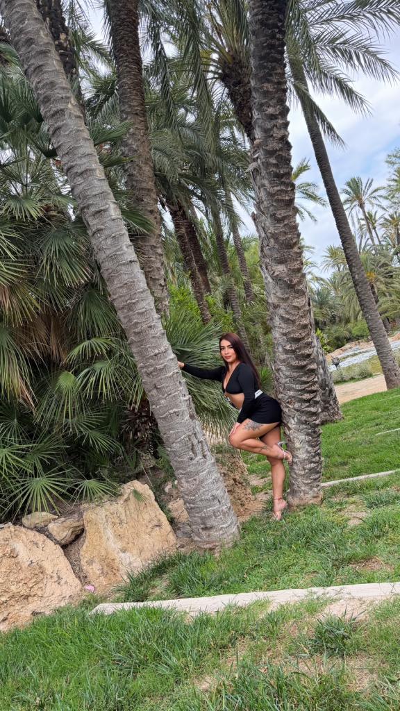 Chica busca chico en Alicante: 