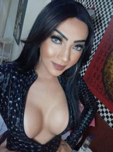 Transexual en Alicante: 