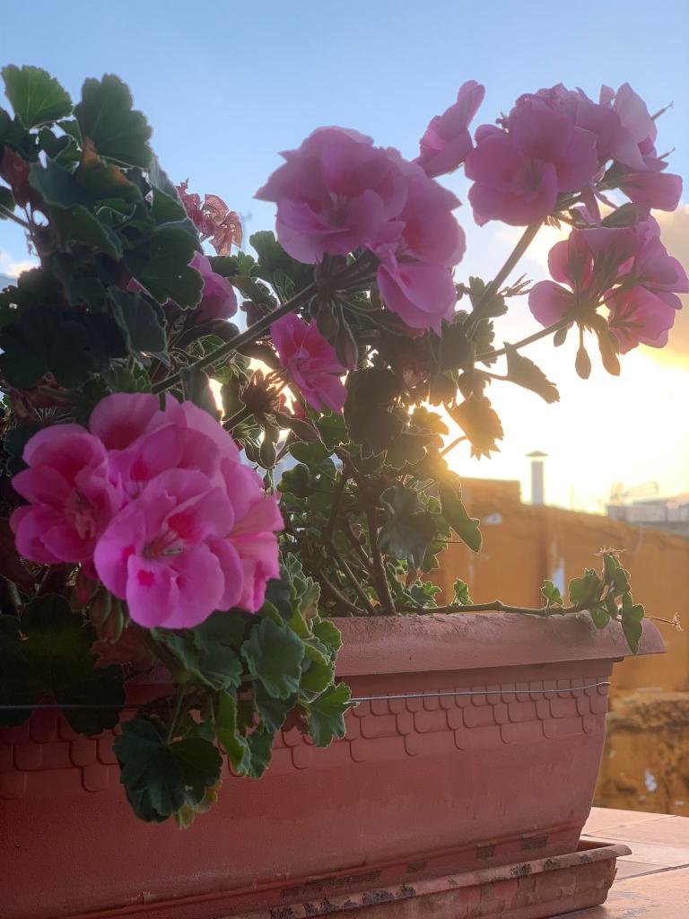 Chica busca chico en Murcia: 