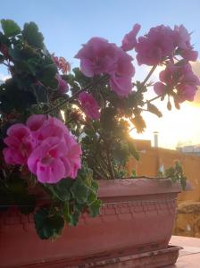 605741501: Chica busca chico en Murcia