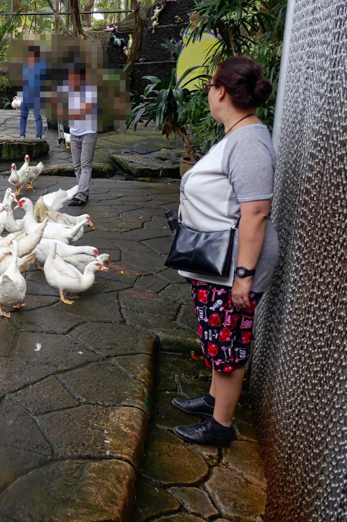 602649409: Chica busca chico en Las Palmas