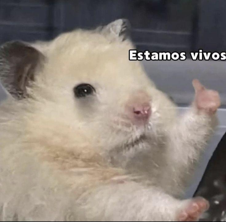 Chica busca chico en Sevilla: 