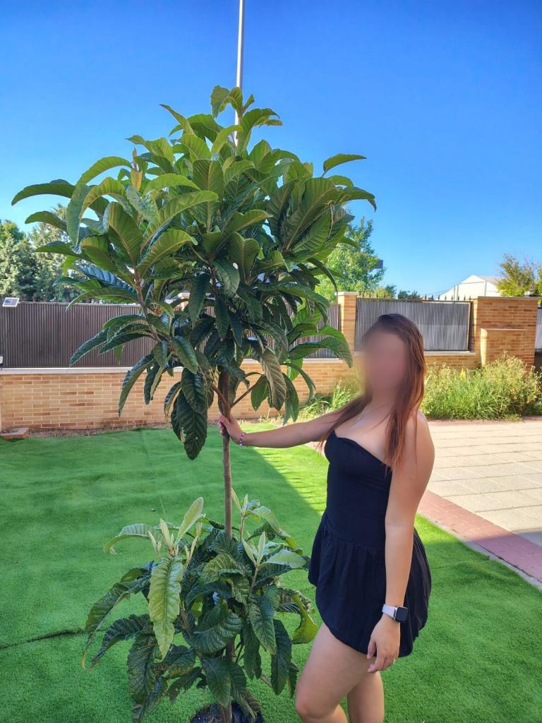 Chica busca chico en Valencia: 