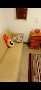 613591640: Chica busca chico en Valencia