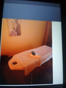 Chica busca chico en Navarra: 