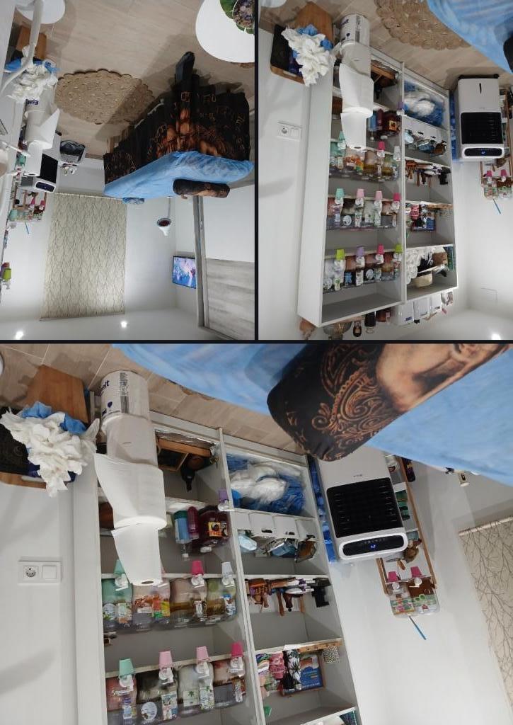 Chica busca chico en Castellón: 