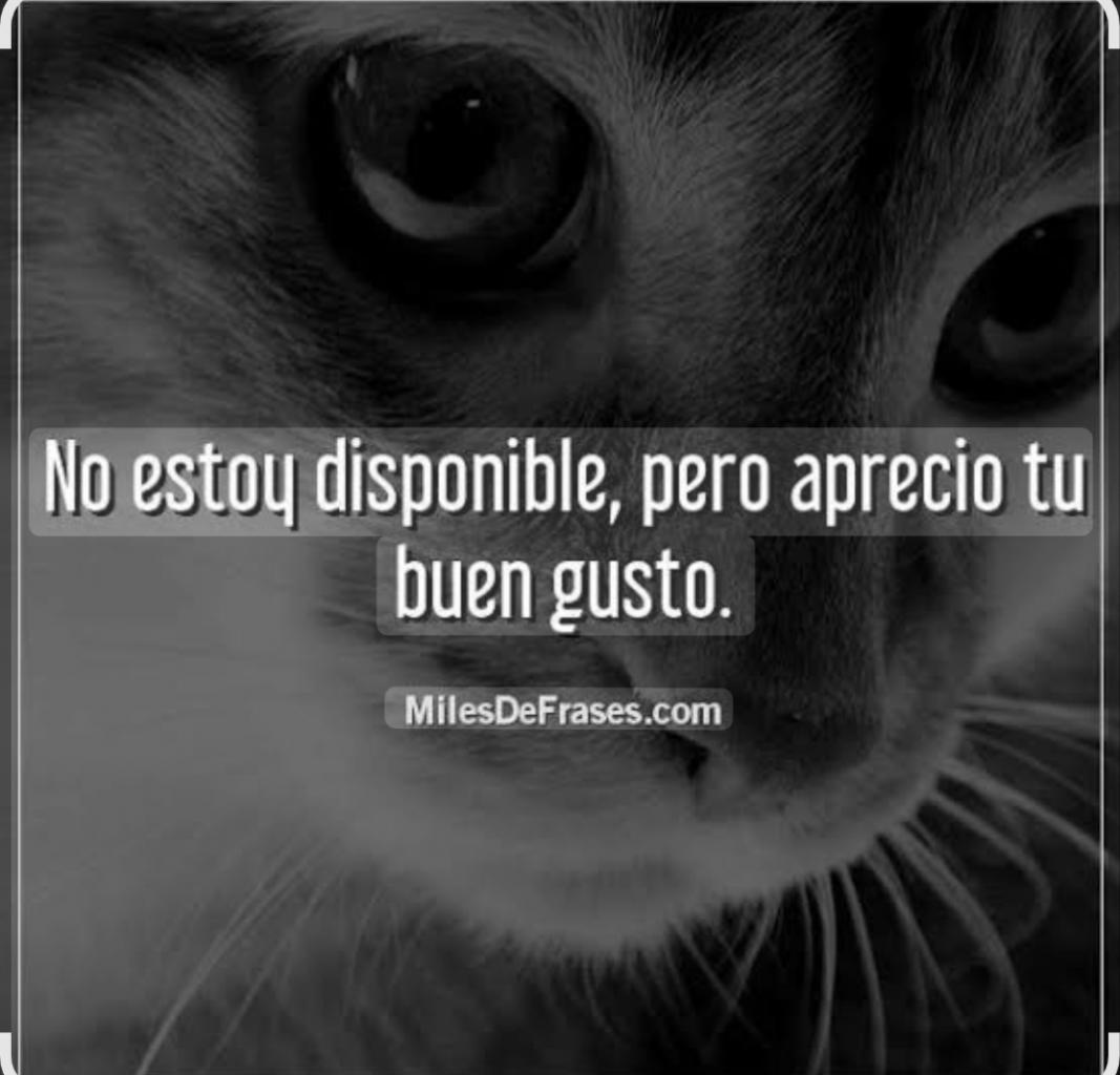 Travesti en Sevilla: Transexuales y Travestis